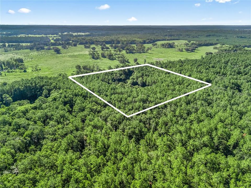 En Venta: $125,000 (10.00 acres)