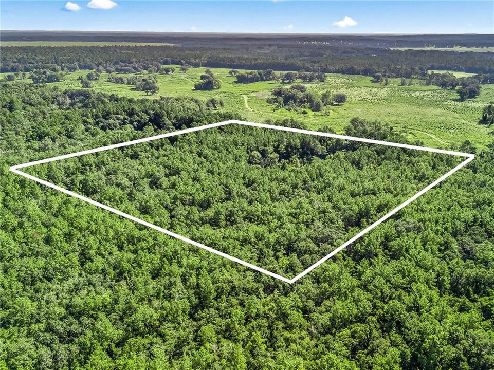 En Venta: $125,000 (10.00 acres)