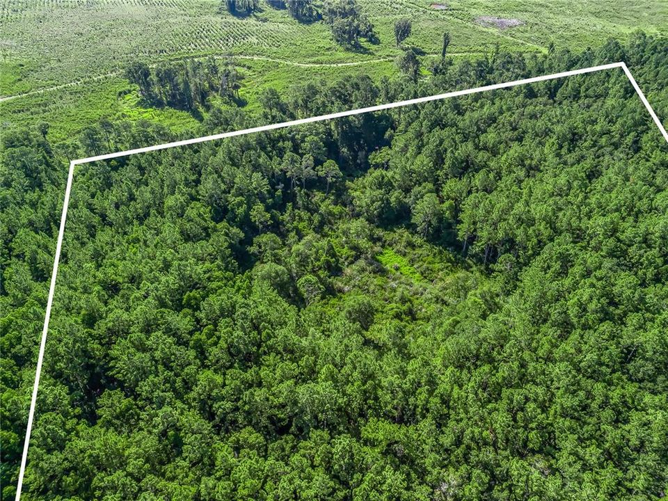 En Venta: $125,000 (10.00 acres)