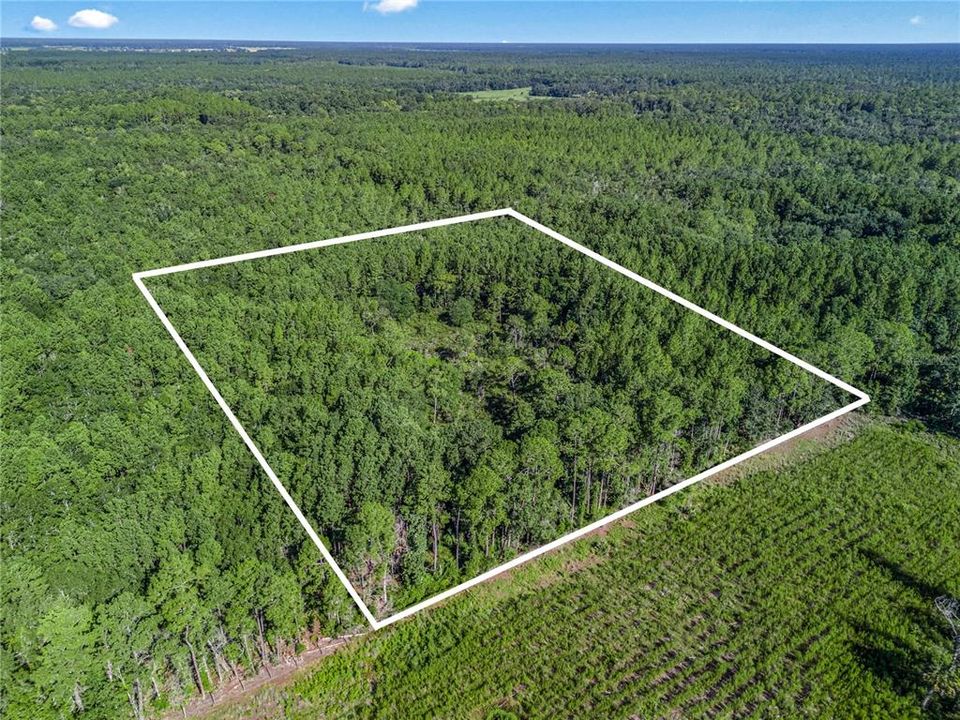 En Venta: $125,000 (10.00 acres)