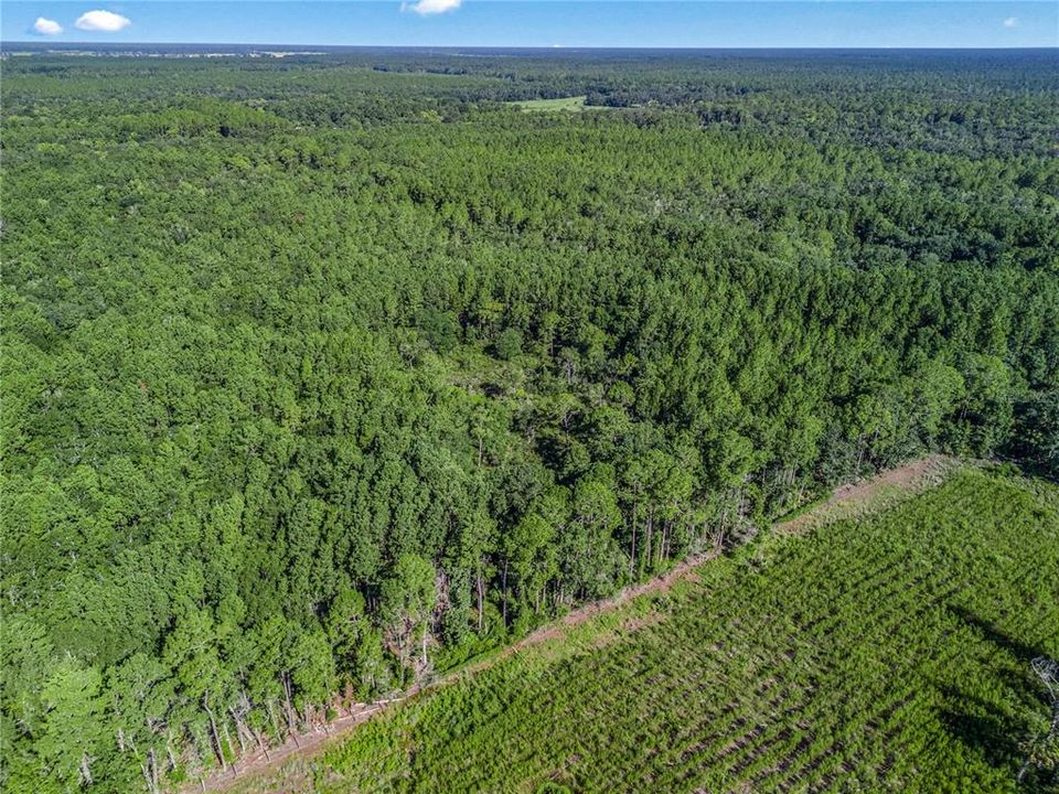 En Venta: $125,000 (10.00 acres)