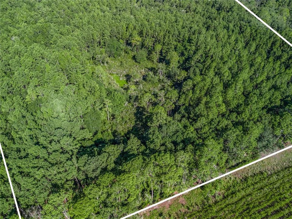 En Venta: $125,000 (10.00 acres)