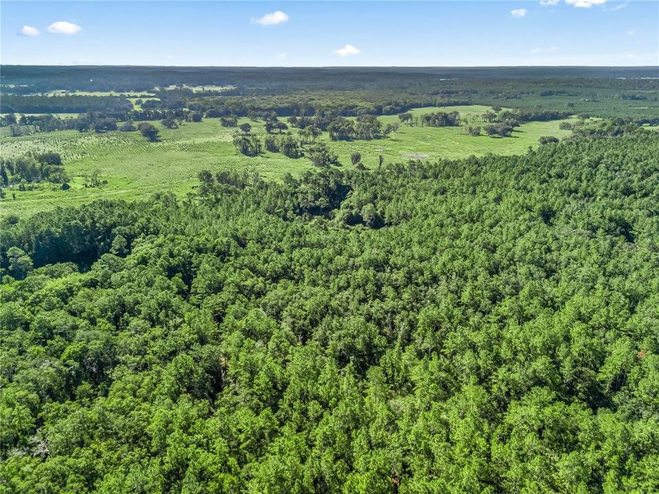 En Venta: $125,000 (10.00 acres)