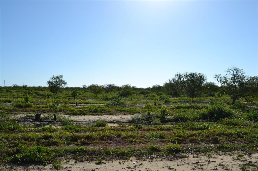En Venta: $600,000 (19.97 acres)