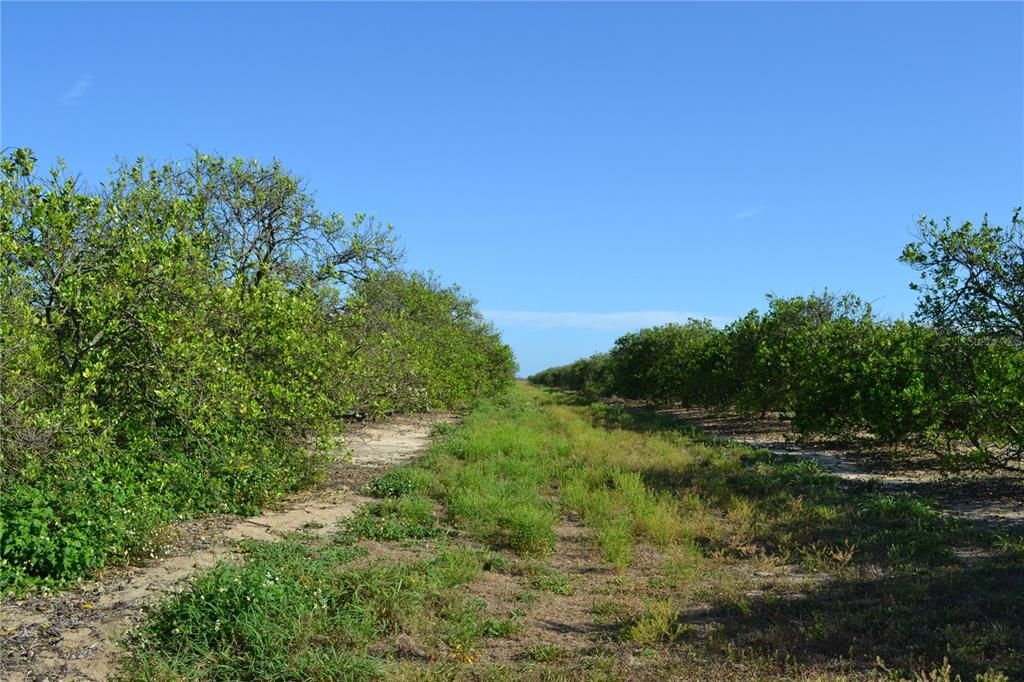 En Venta: $600,000 (19.97 acres)