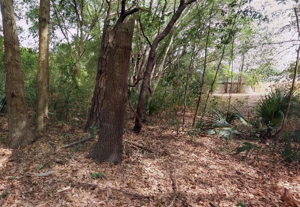 待售: $345,000 (1.09 acres)