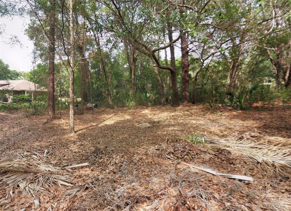 待售: $345,000 (1.09 acres)