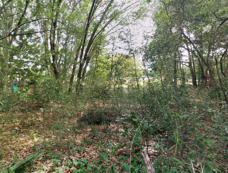 待售: $345,000 (1.09 acres)