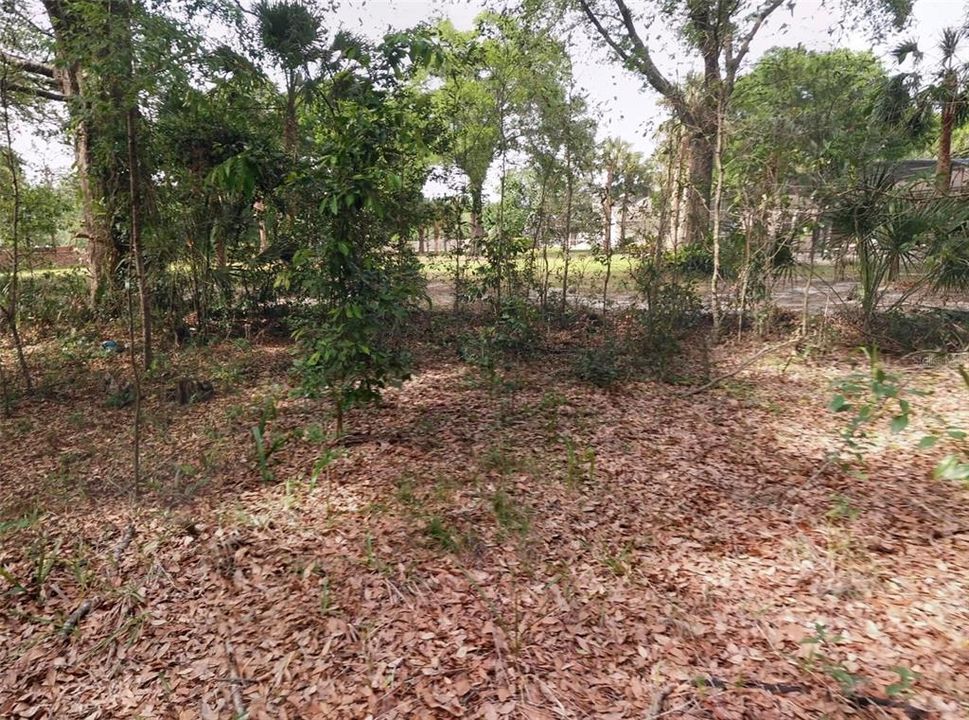 待售: $345,000 (1.09 acres)