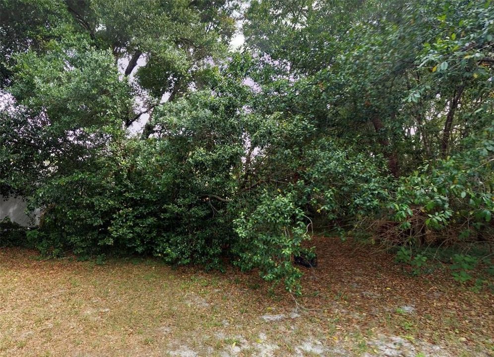 待售: $345,000 (1.09 acres)