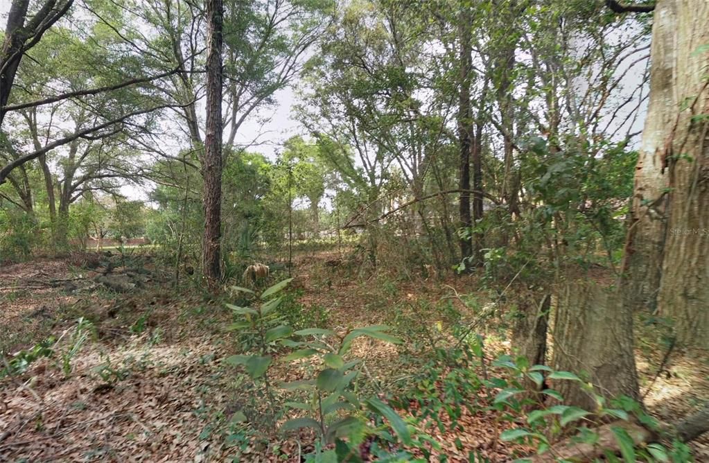 待售: $345,000 (1.09 acres)