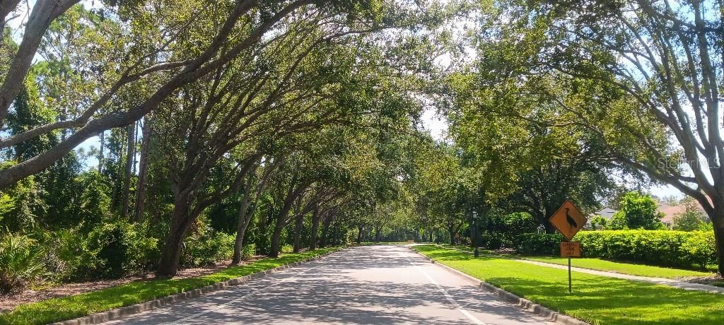 На продажу: $544,700 (2 спален, 2 ванн, 1875 Квадратных фут)