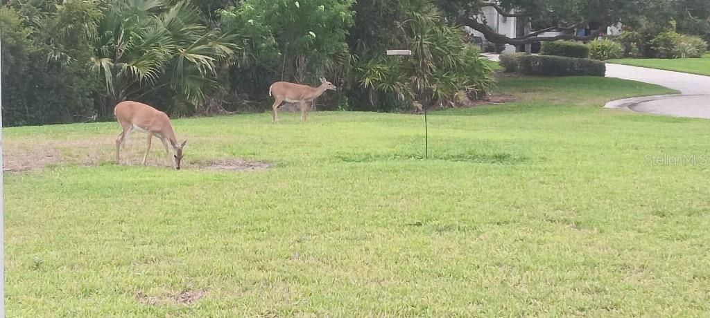 На продажу: $544,700 (2 спален, 2 ванн, 1875 Квадратных фут)