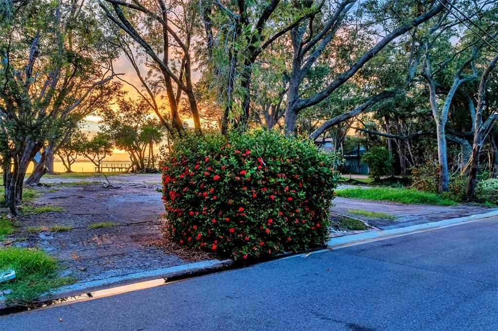 待售: $1,200,000 (0.37 acres)