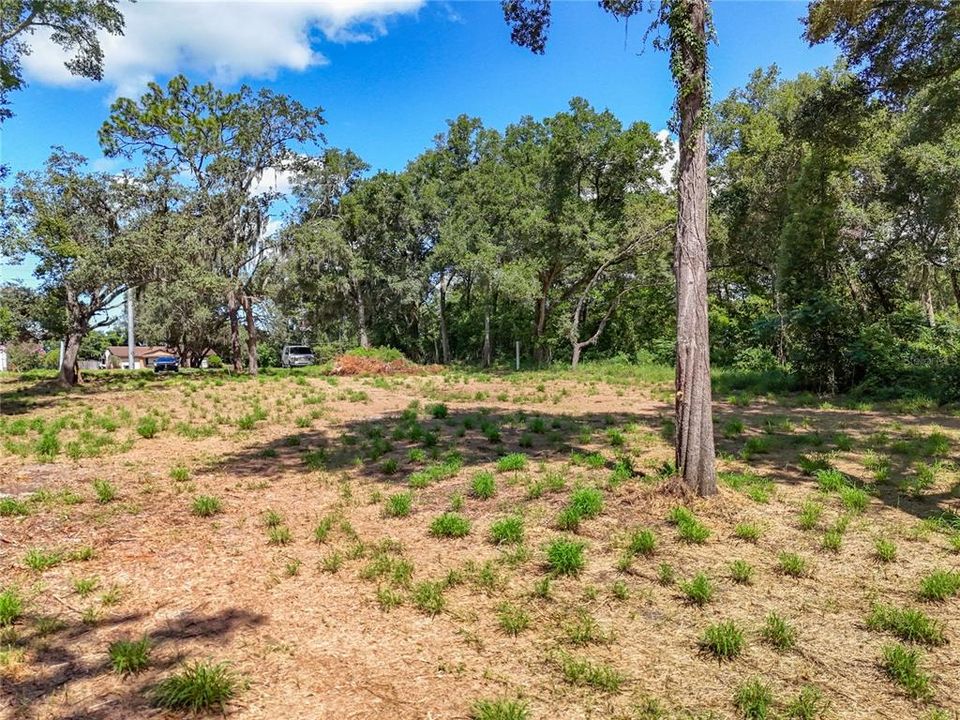 待售: $175,000 (1.12 acres)