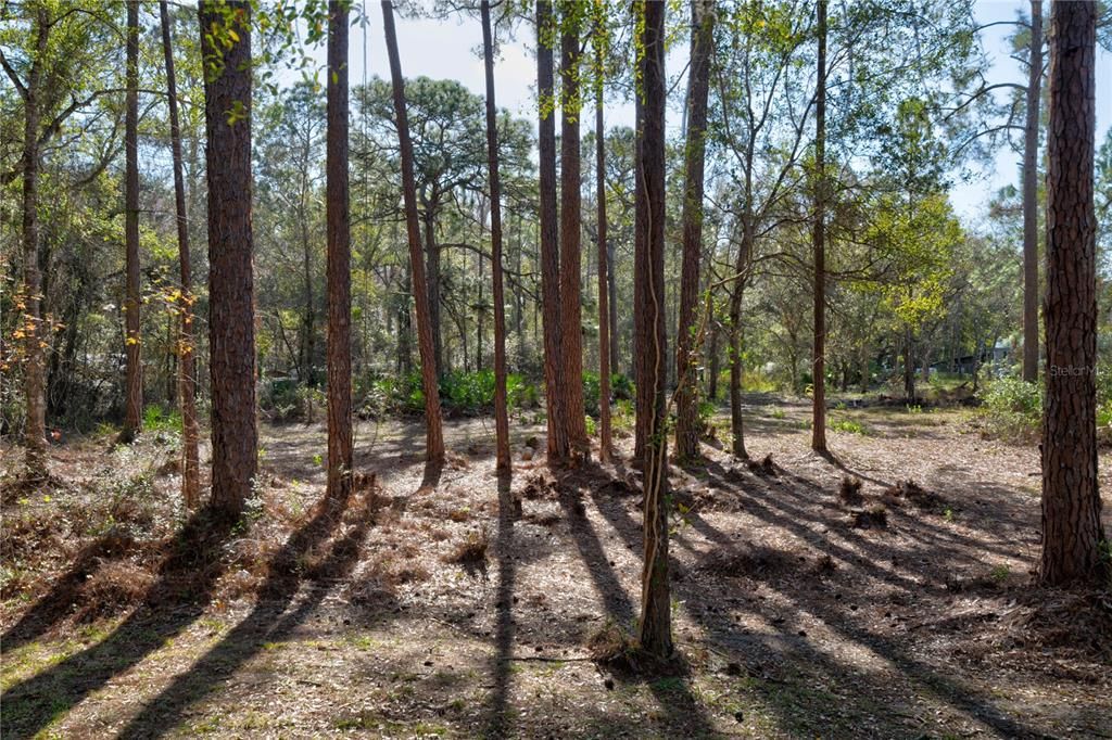 For Sale: $80,000 (0.88 acres)