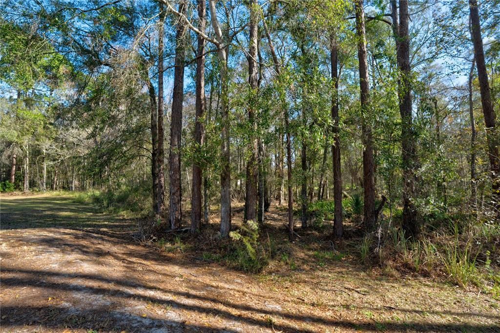 For Sale: $80,000 (0.88 acres)