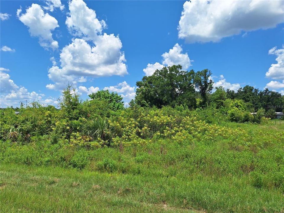 For Sale: $189,000 (2.15 acres)