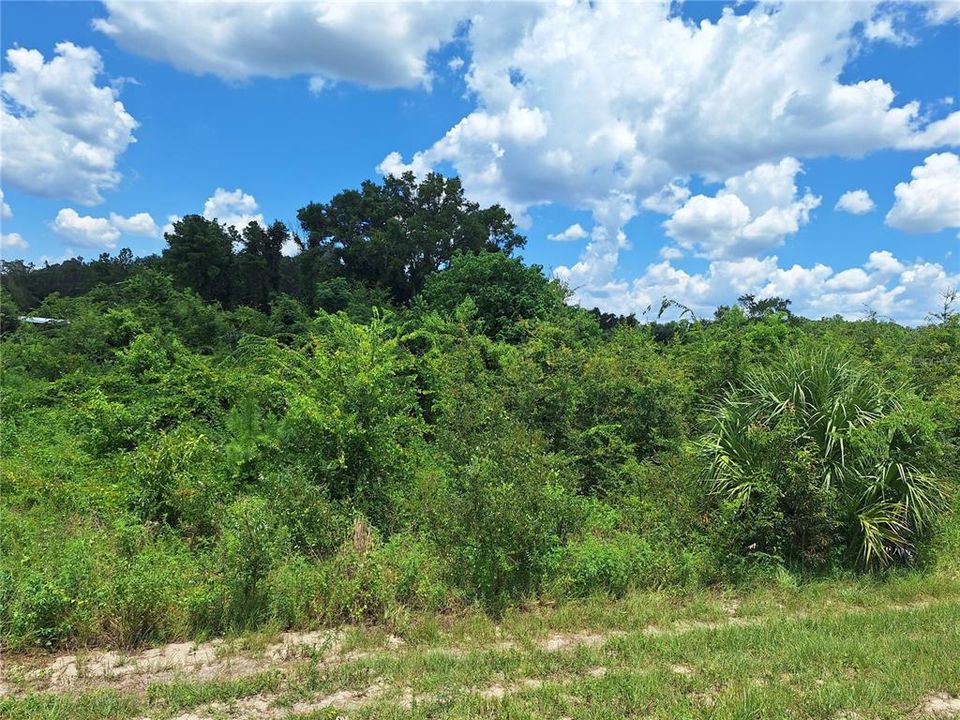 For Sale: $189,000 (2.15 acres)