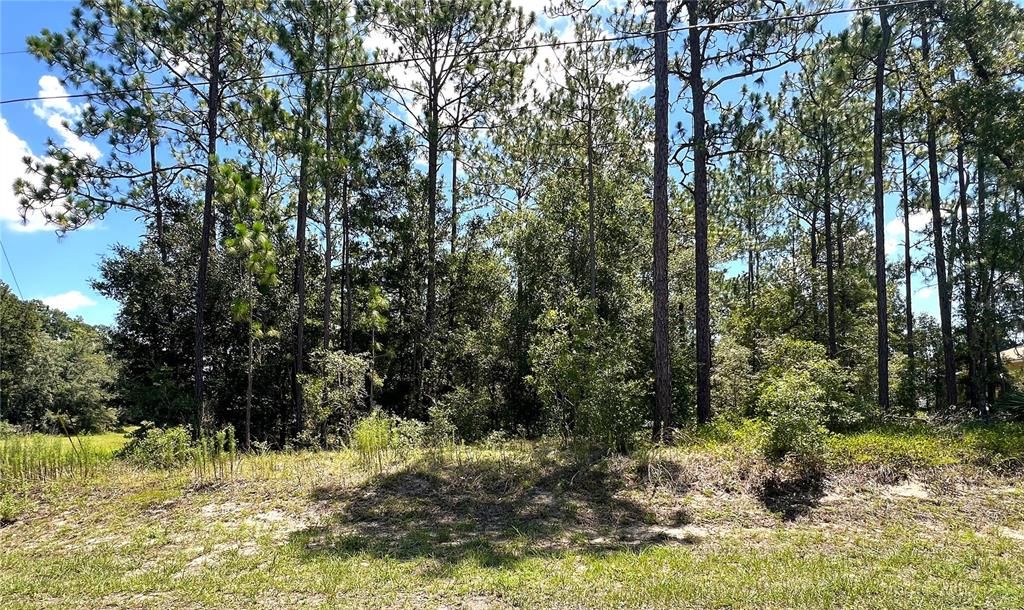 Available Now!!..Beautiful 1.09 Acres New Construction Build Site Located In "The Forest" of The Village of Rainbow Springs in Historic Dunnellon, Florida!