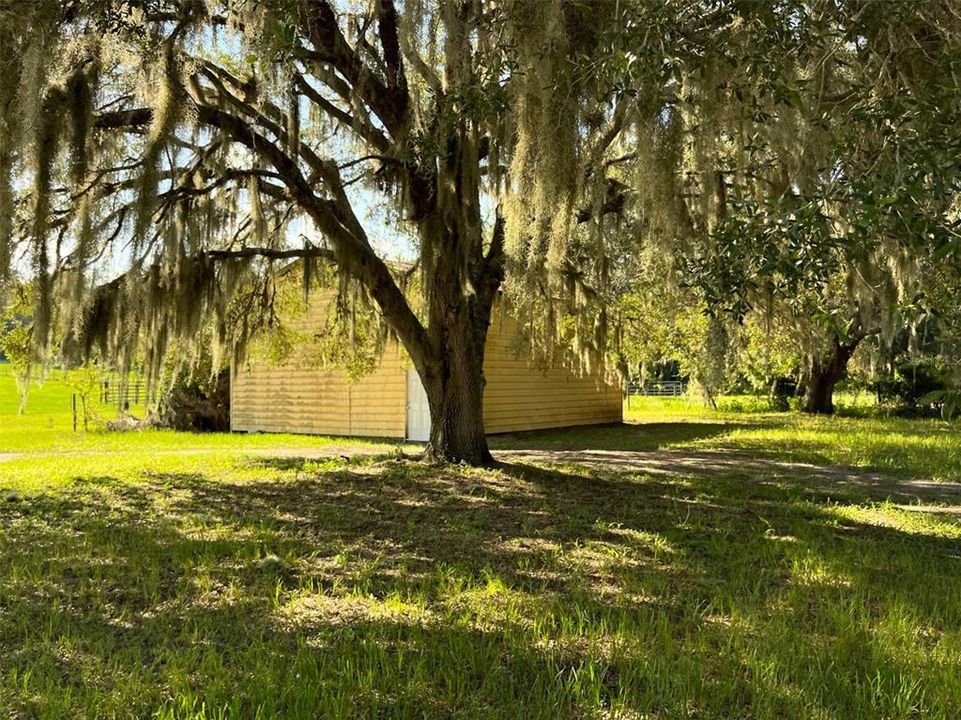 待售: $225,000 (10.79 acres)