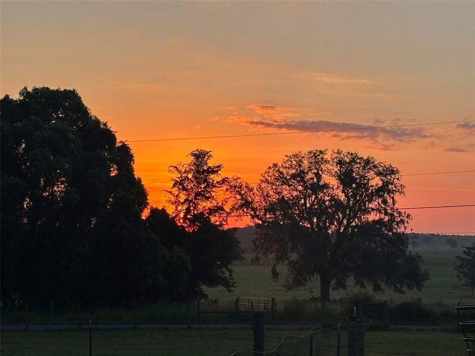 合同活跃: $799,000 (9 贝兹, 4 浴室, 5104 平方英尺)