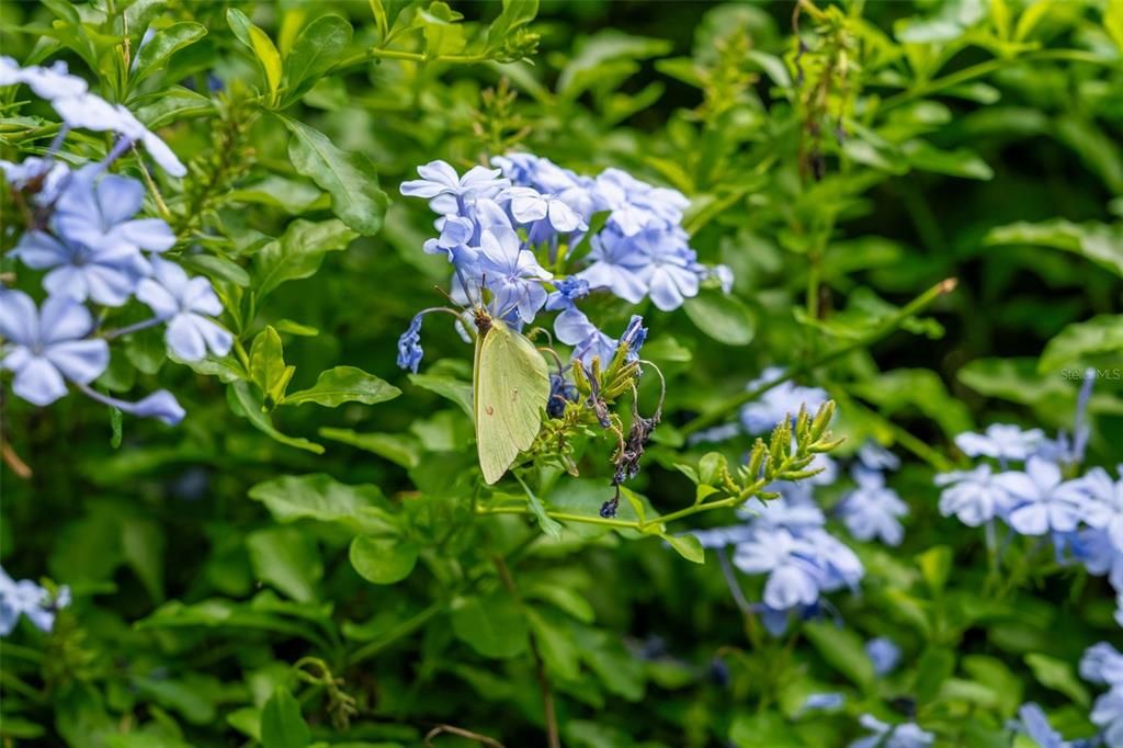 合同活跃: $799,000 (9 贝兹, 4 浴室, 5104 平方英尺)