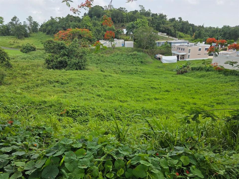 待售: $70,000 (0.08 acres)