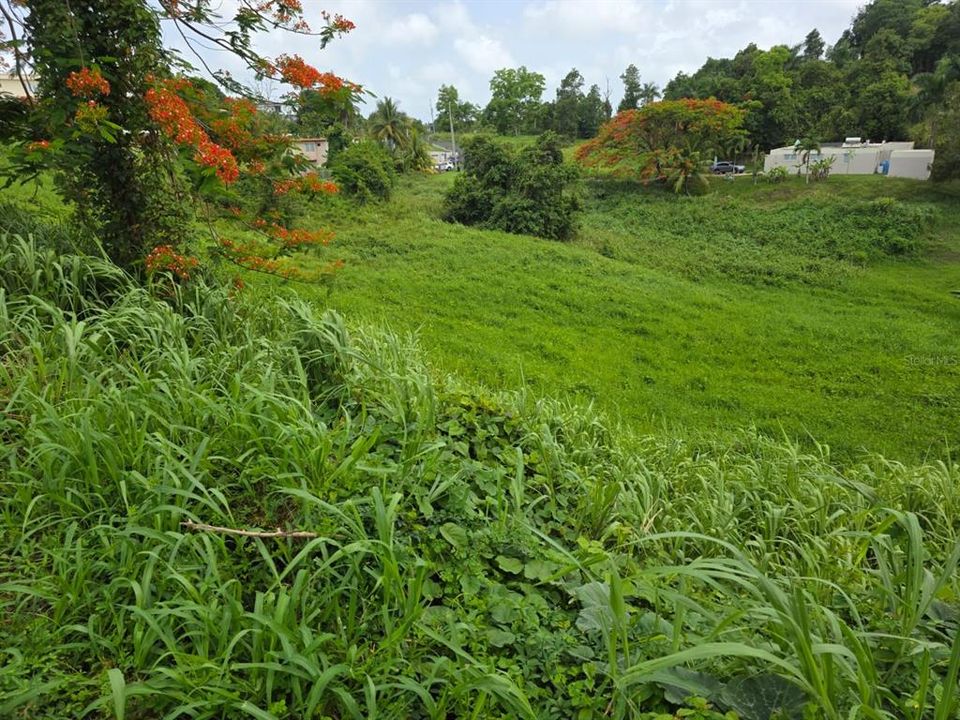 待售: $70,000 (0.08 acres)