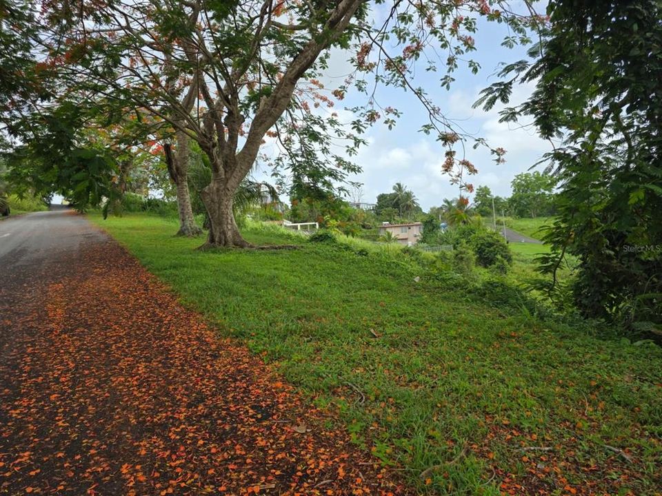 待售: $70,000 (0.08 acres)