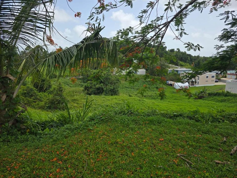 待售: $70,000 (0.08 acres)