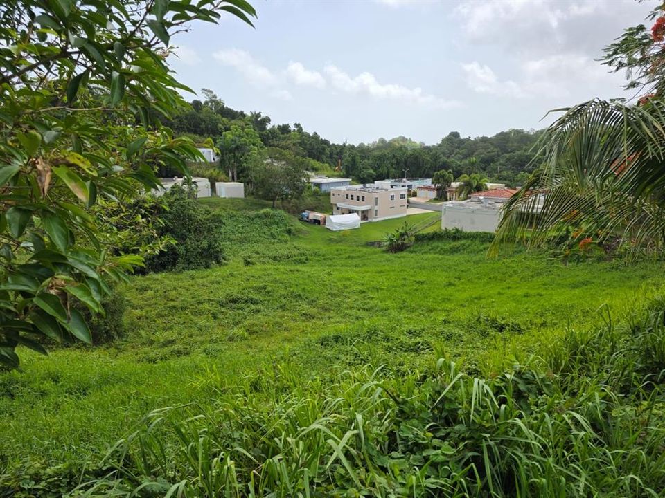 待售: $70,000 (0.08 acres)