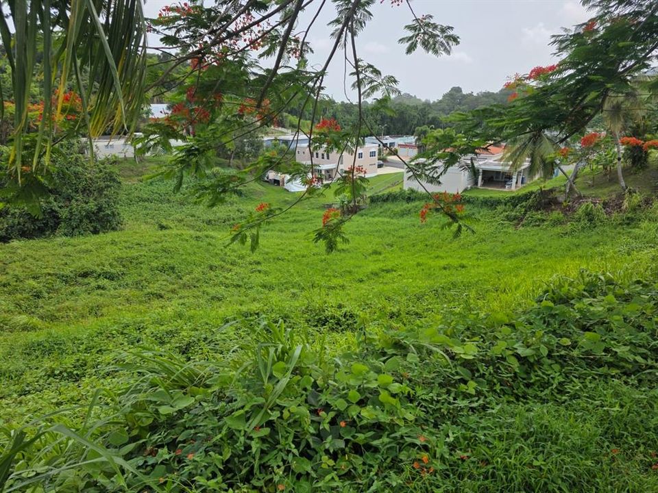 待售: $70,000 (0.08 acres)