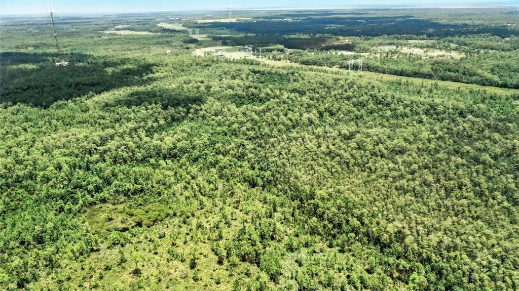 For Sale: $25,000 (2.60 acres)