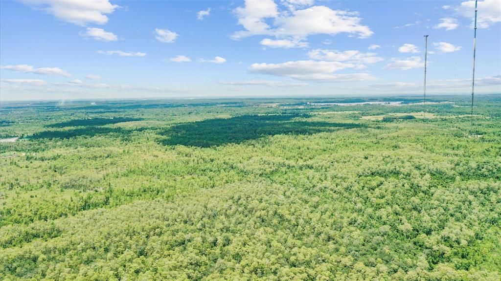 For Sale: $25,000 (2.60 acres)