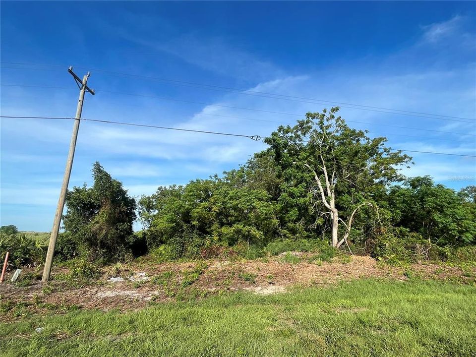 待售: $49,895 (0.51 acres)