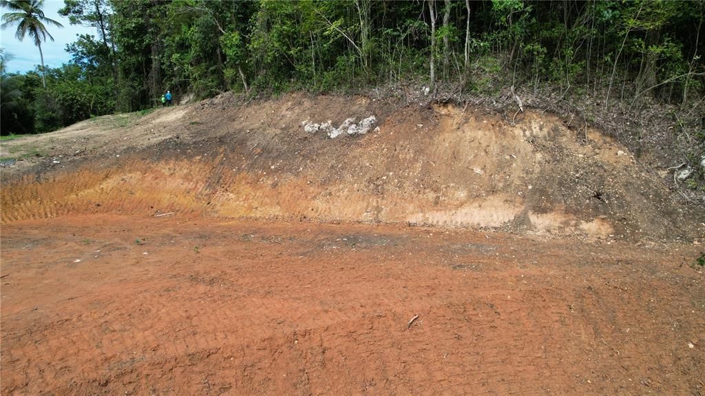 En Venta: $59,000 (0.19 acres)