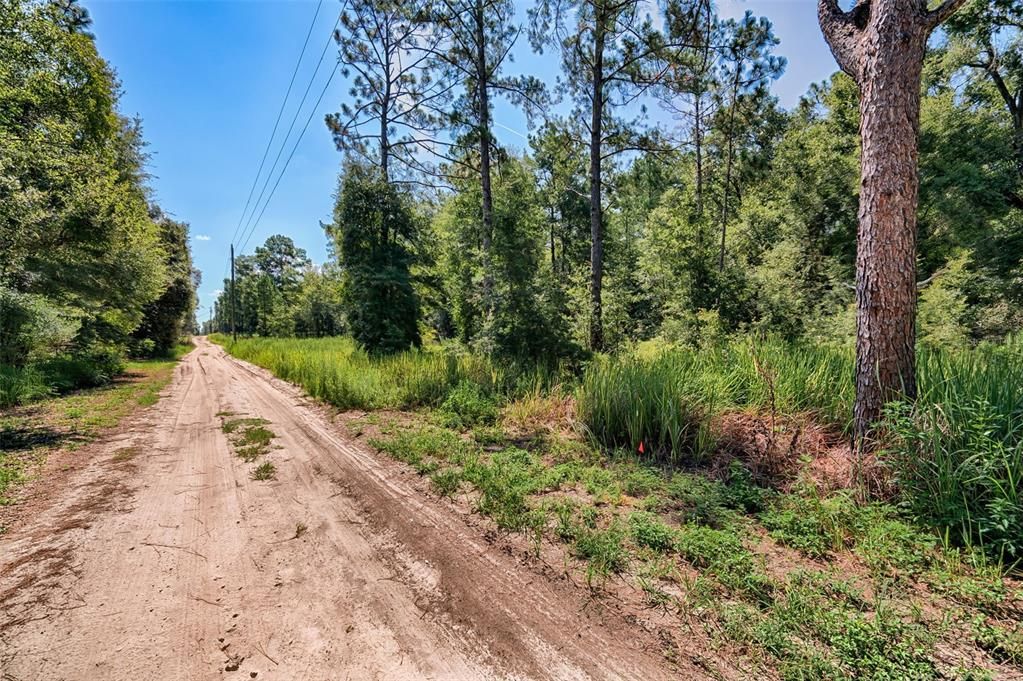 For Sale: $25,000 (1.25 acres)