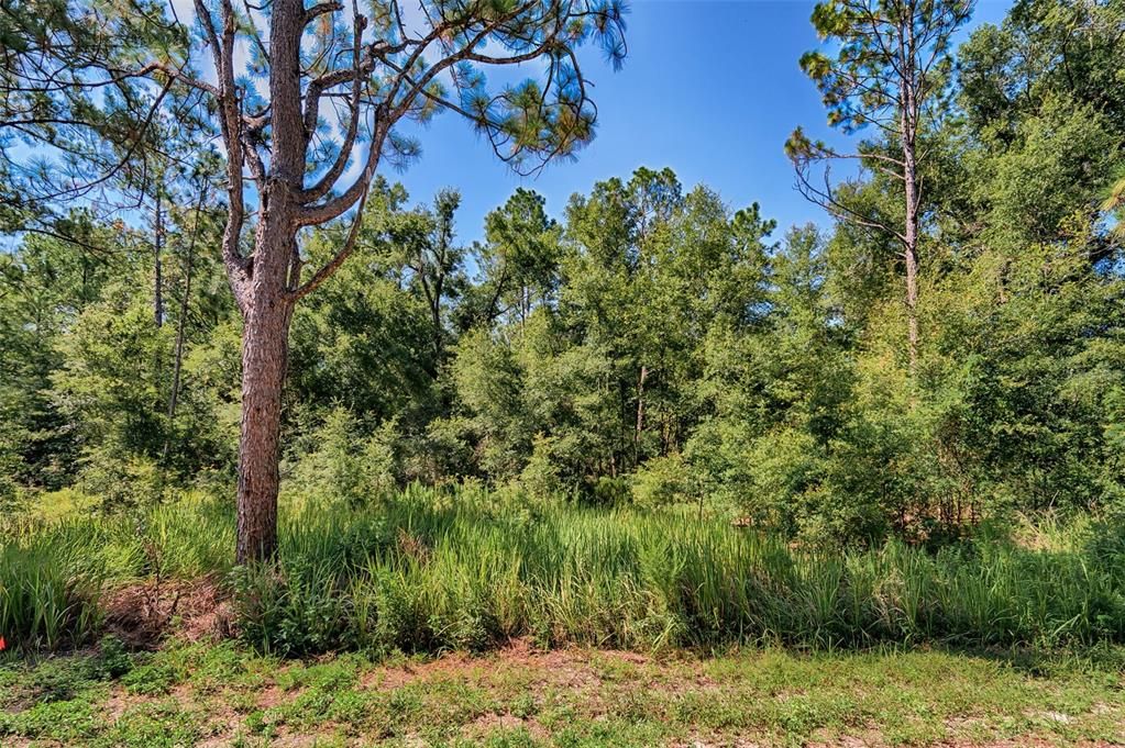 For Sale: $25,000 (1.25 acres)