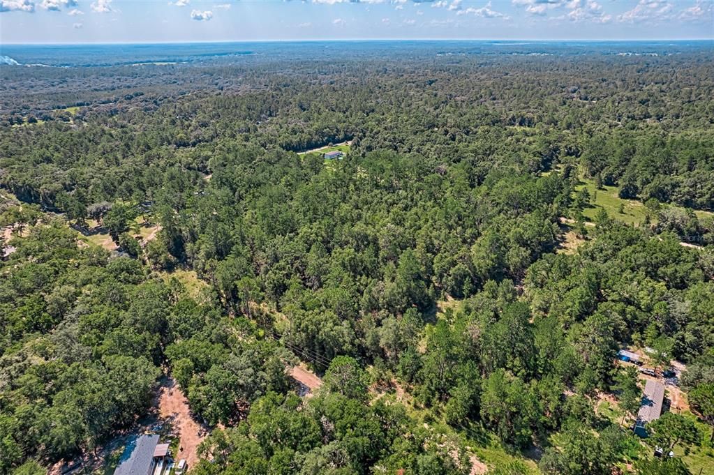 For Sale: $25,000 (1.25 acres)