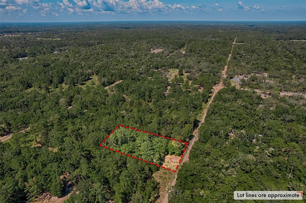 For Sale: $25,000 (1.25 acres)