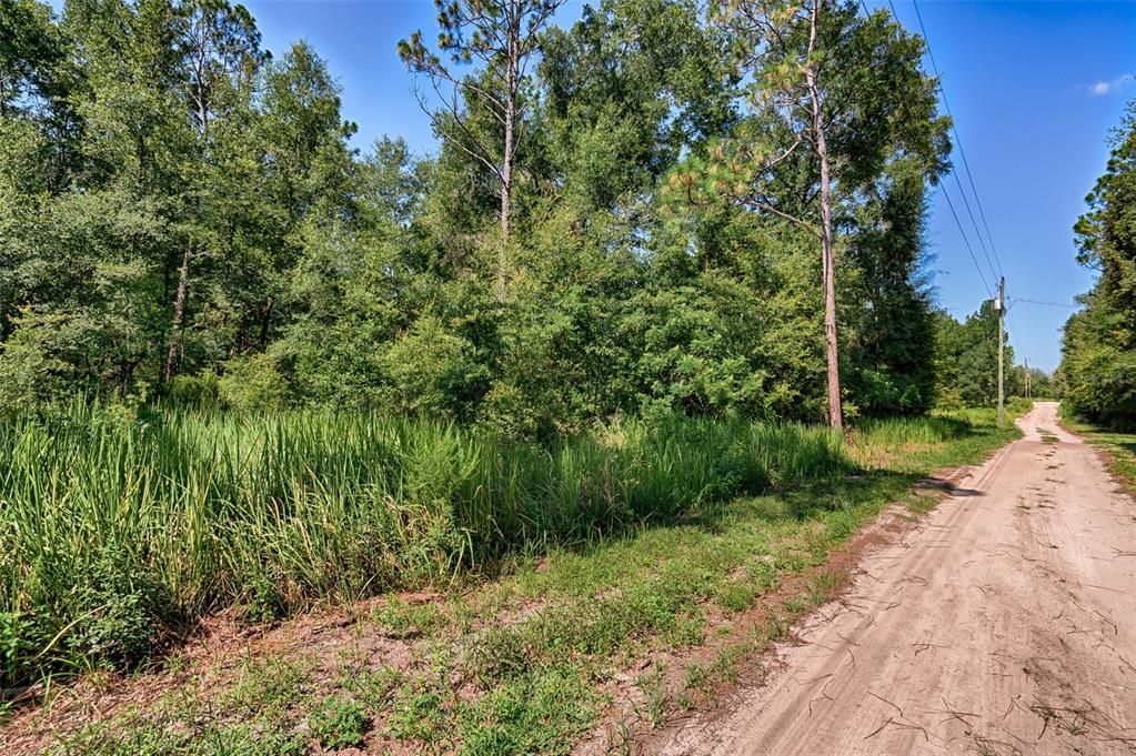 For Sale: $25,000 (1.25 acres)