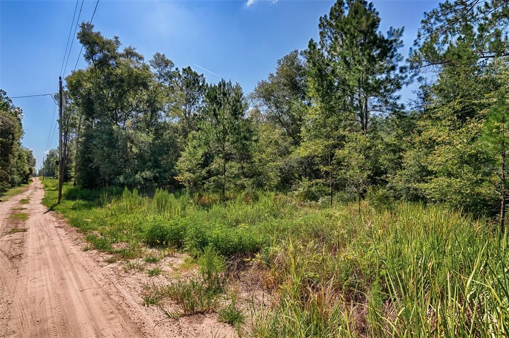 En Venta: $75,000 (3.75 acres)