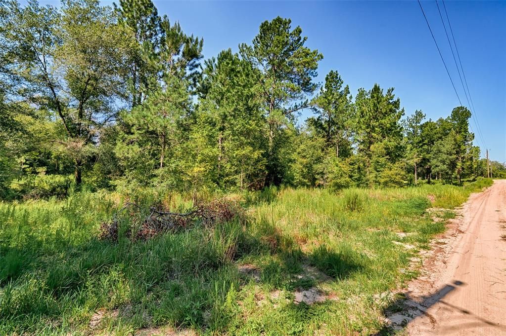 En Venta: $75,000 (3.75 acres)