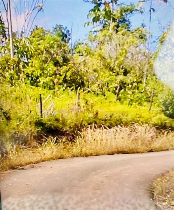 最近售出: $64,900 (2.91 acres)