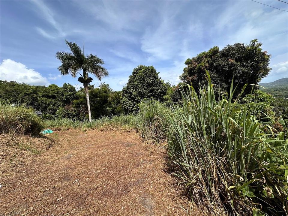 En Venta: $60,000 (0.19 acres)