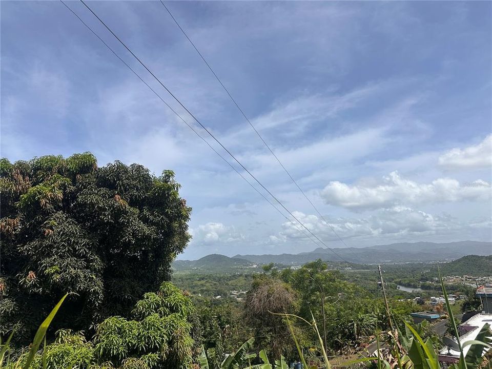 En Venta: $60,000 (0.19 acres)