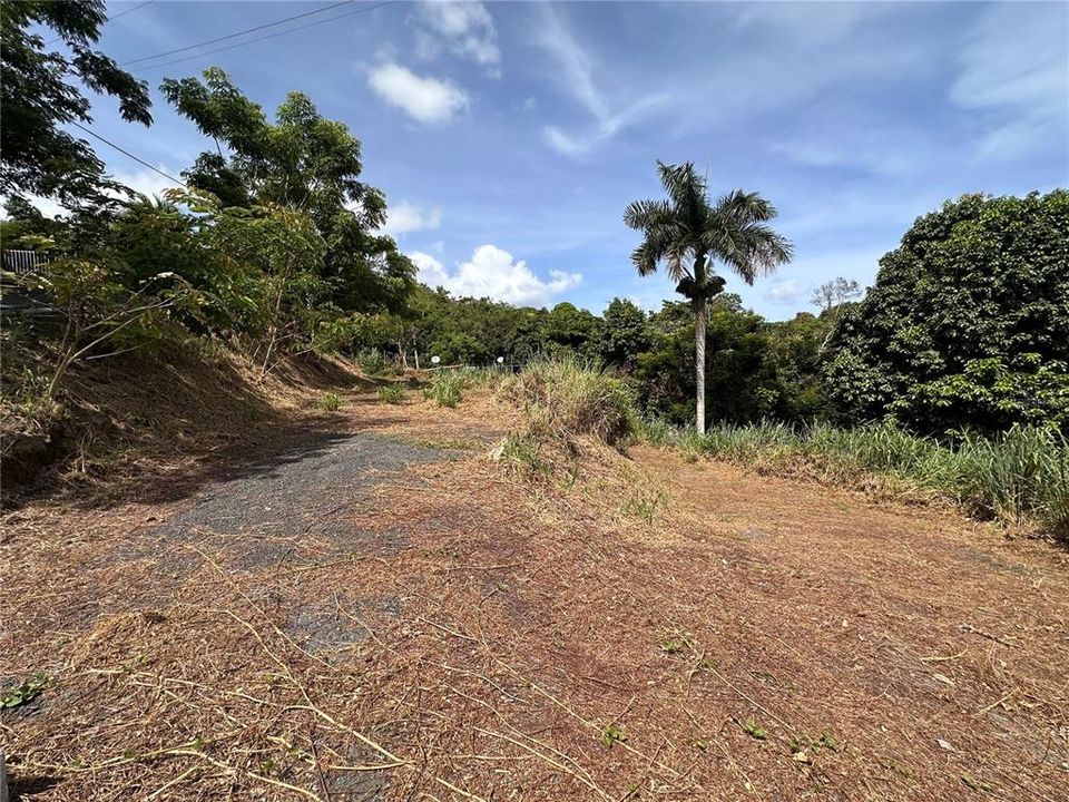 En Venta: $60,000 (0.19 acres)