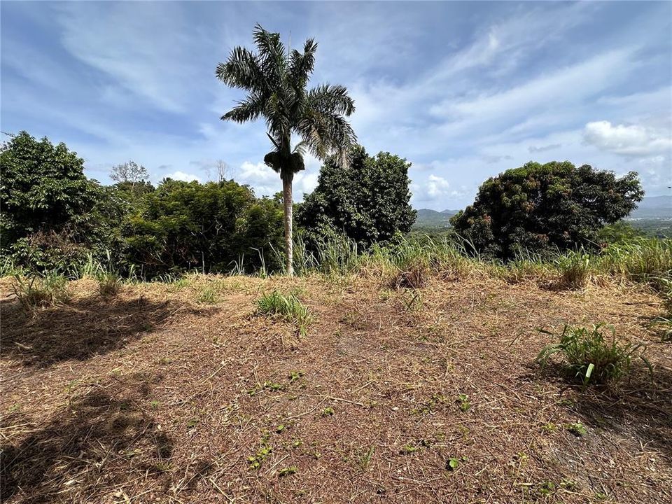 En Venta: $60,000 (0.19 acres)