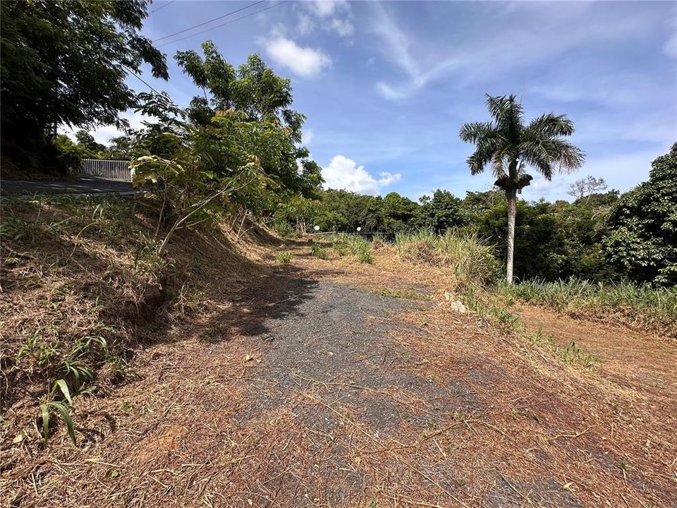En Venta: $60,000 (0.19 acres)
